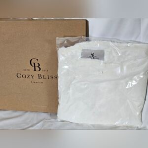 2 Cozy Bliss Faux Fur Pillow Covers